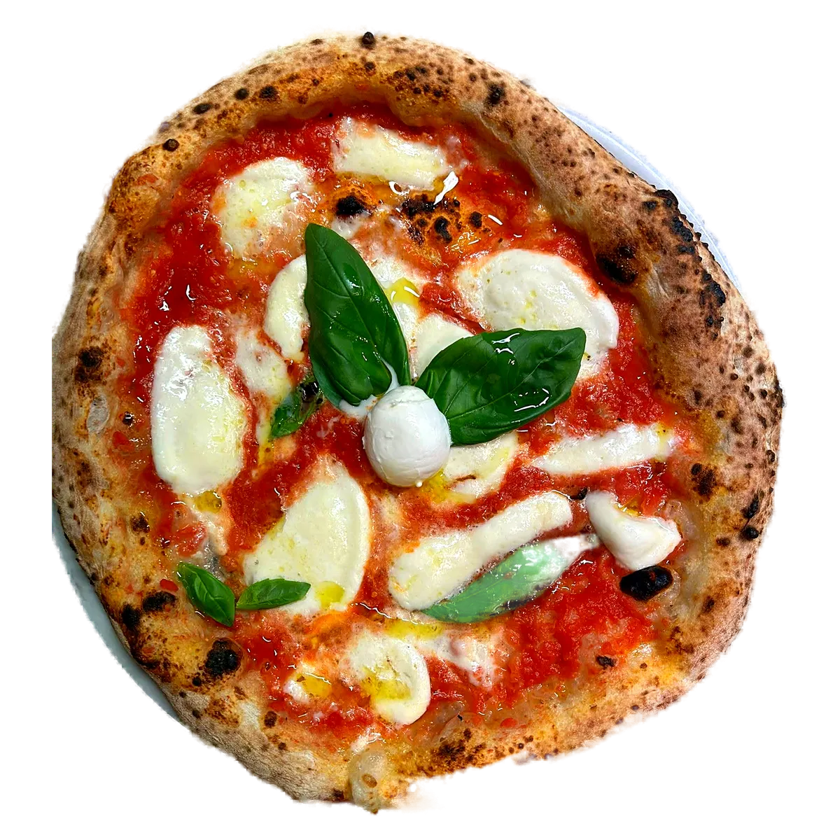 Pizza Regina Margherita